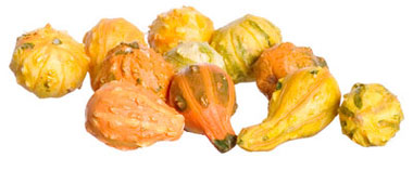 Dollhouse Miniature Assorted Squash, 11Pc